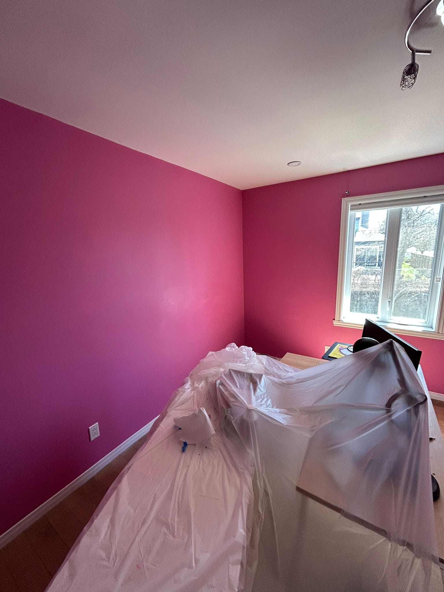 WhatsApp Image 20k26-01-16 at 8.28.41 PM